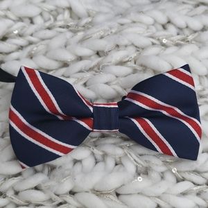 Men Classic Bow Tie